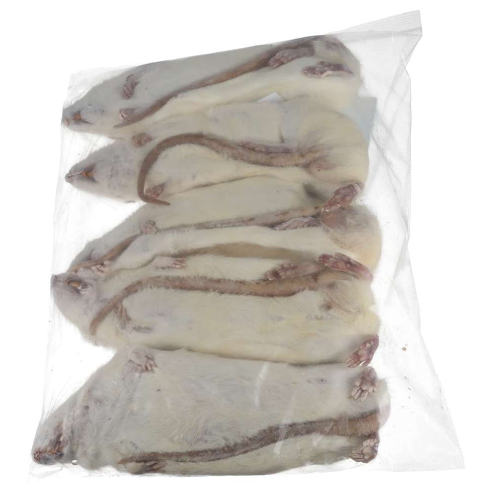 PLT Frozen Rats Ex-Breeder 500g+ 5 Pack Reverse