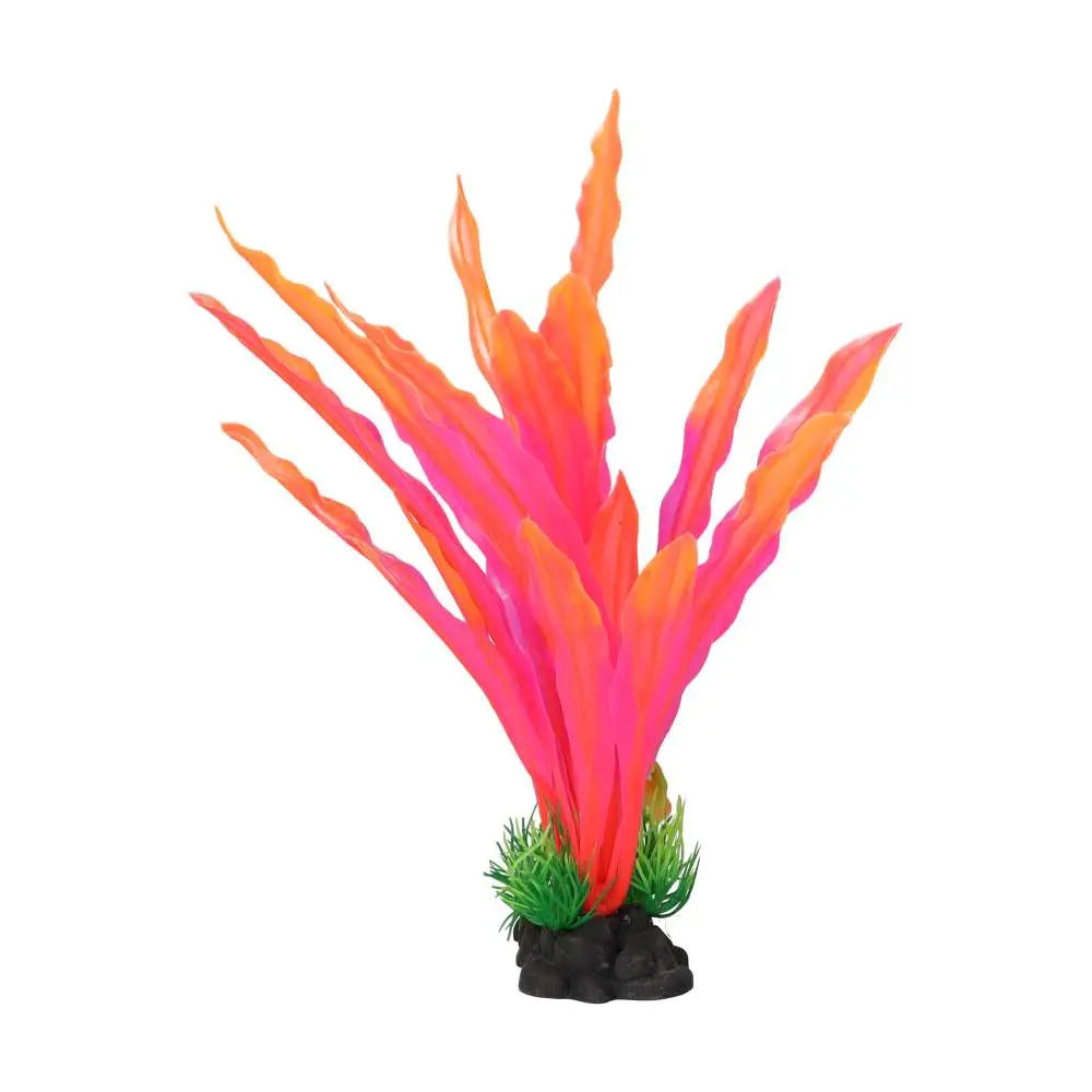 AquaSpectra Amazon Sword Leaf Pink