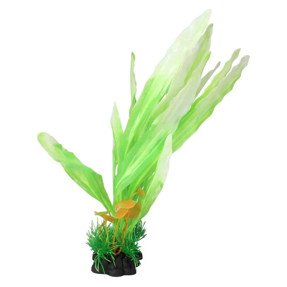 AquaSpectra Amazon Sword Leaf Lime