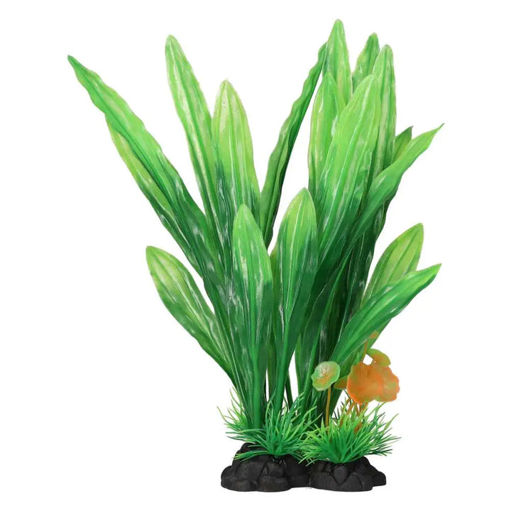 AquaSpectra Amazon Sword Leaf Green