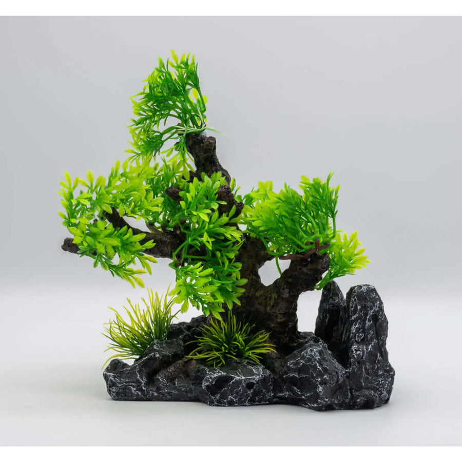 Buy AquaSpectra Bonsai Tree (1DA375) Online at £13.19 from Reptile Centre