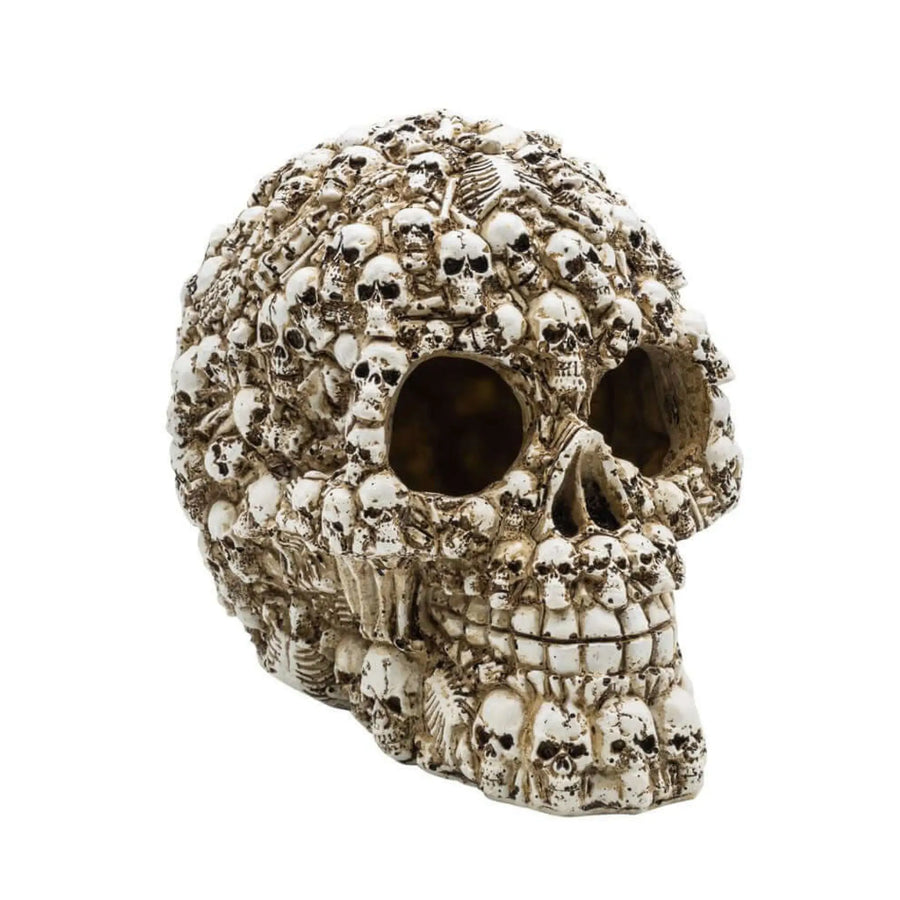 Buy AquaSpectra Decorated Skull 15x11x12.5cm (1DA285) Online at £10.29 from Reptile Centre