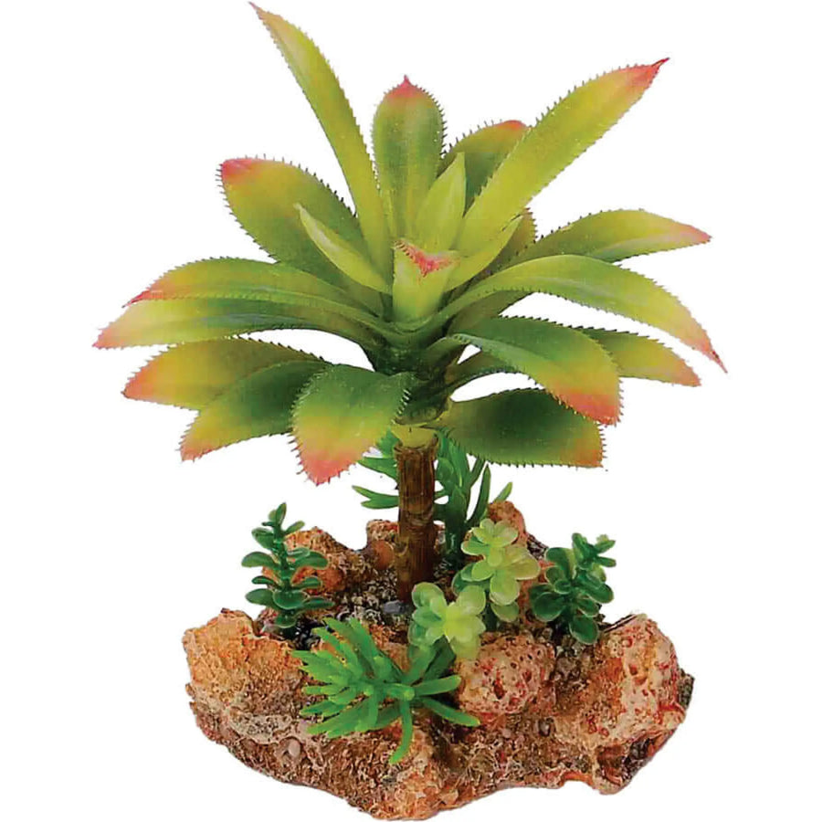 Buy AquaSpectra Desert Plant with Rock Base (1DA071) Online at £9.49 from Reptile Centre