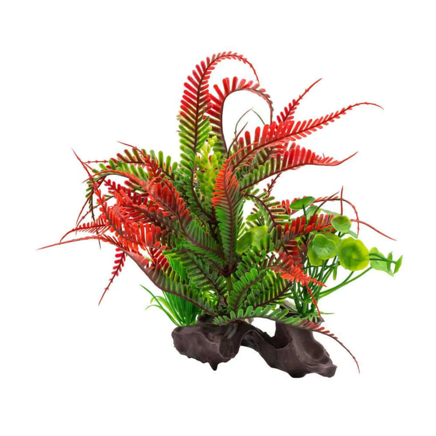 Buy AquaSpectra Fern on Log Red 18cm (1DA337) Online at £5.79 from Reptile Centre