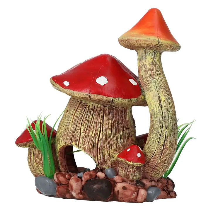 AQ Fungi House - back view