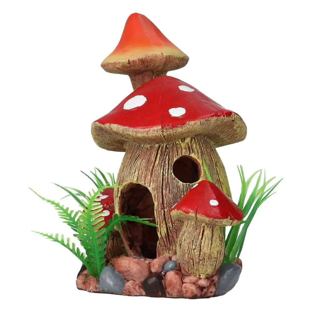 AQ Fungi House - other side view