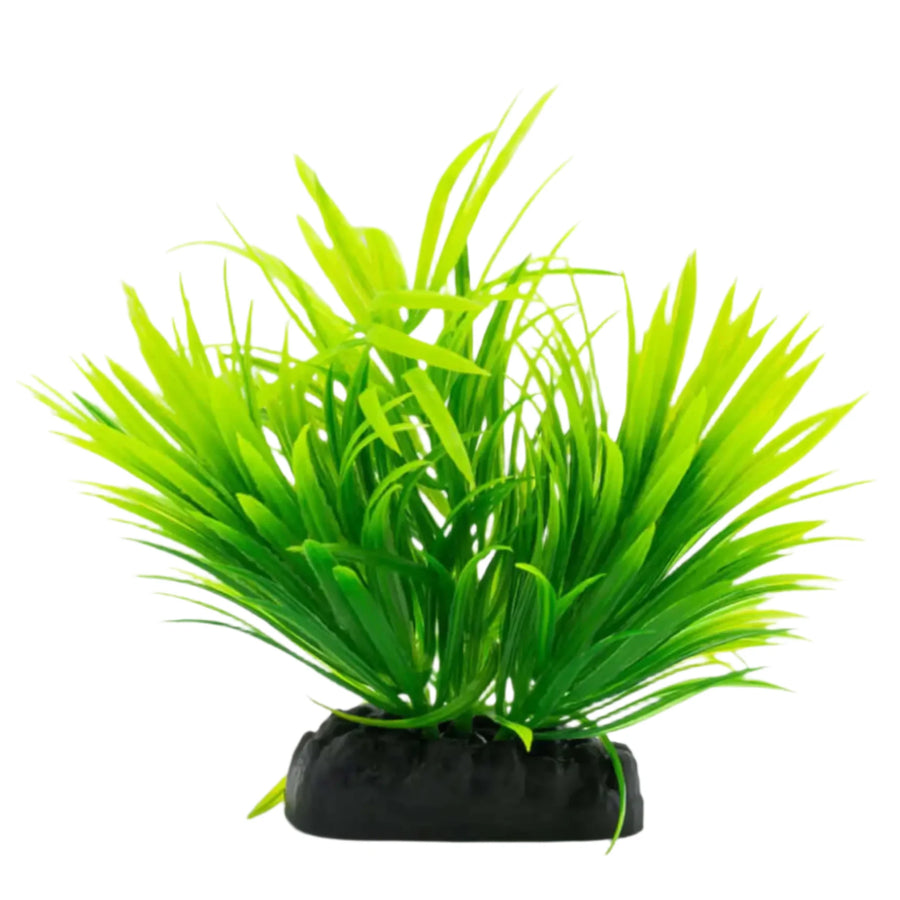 Buy AquaSpectra Helanthium Plant 10cm (1DA240) Online at £1.19 from Reptile Centre