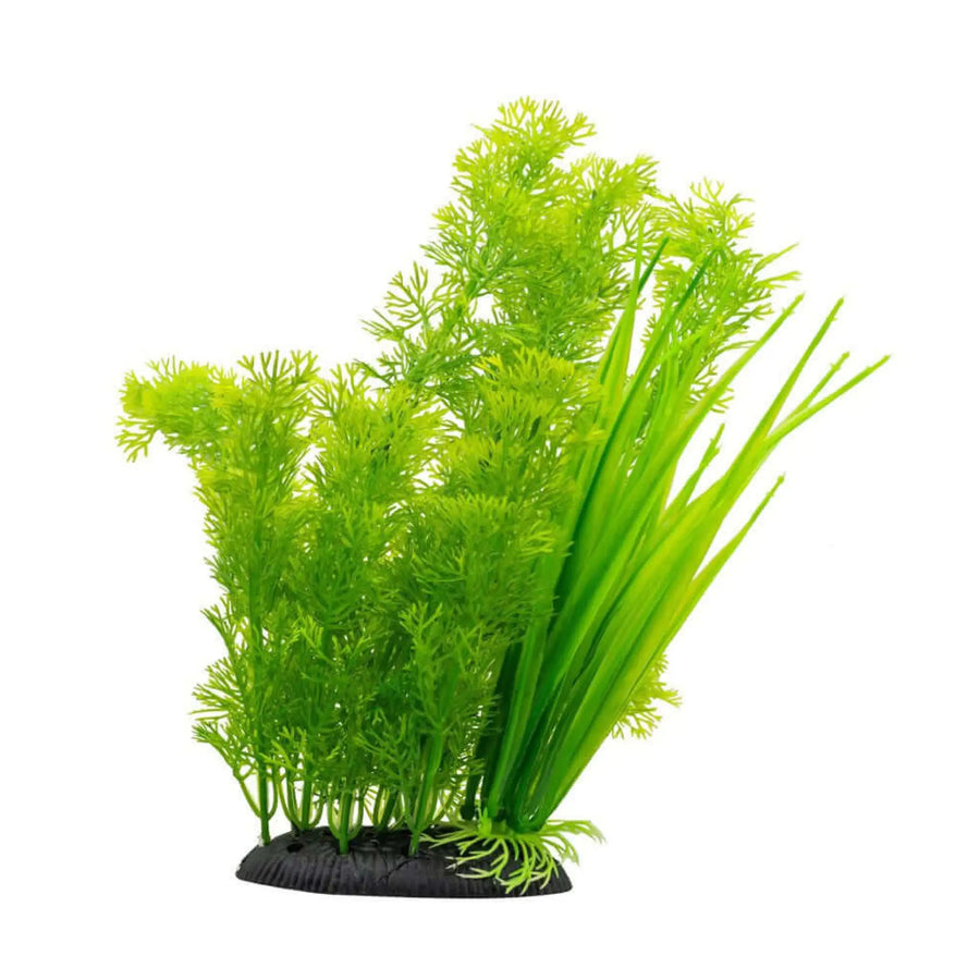 Buy AquaSpectra Kabomba Plant Green 30cm (1DA309) Online at £6.39 from Reptile Centre