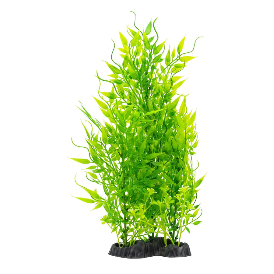 Buy AquaSpectra Limnophila Plant 30cm (1DA475) Online at £5.79 from Reptile Centre