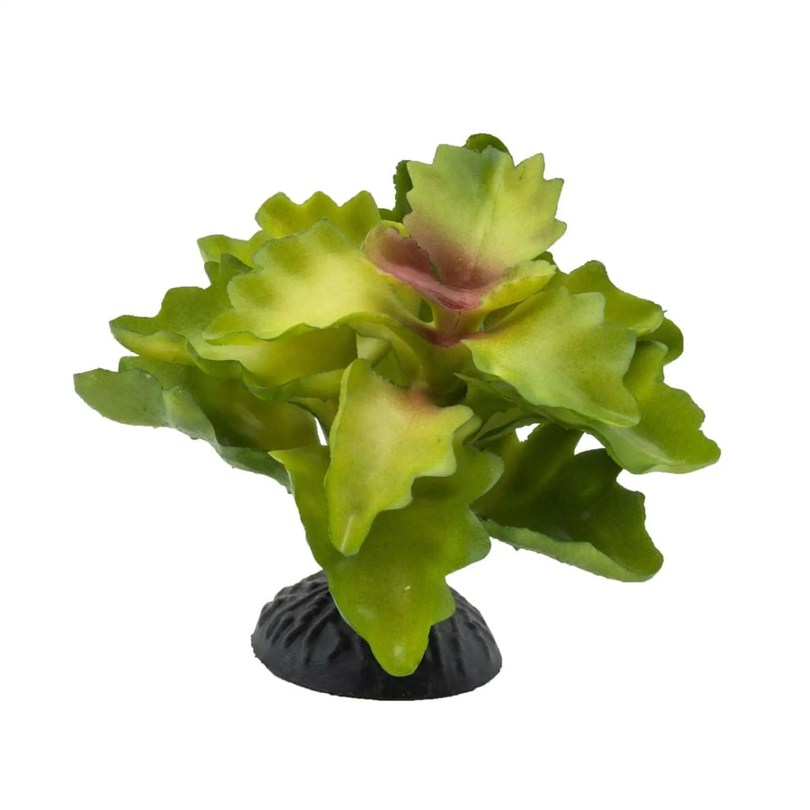 Buy AquaSpectra Lobelia Plant Green 10cm (1DA480) Online at £5.29 from Reptile Centre