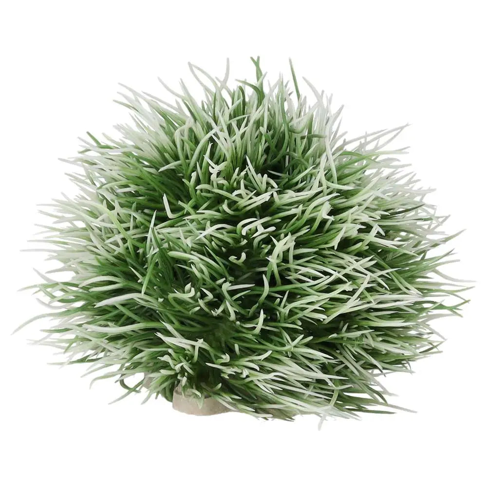 Buy AquaSpectra Moss Ball online