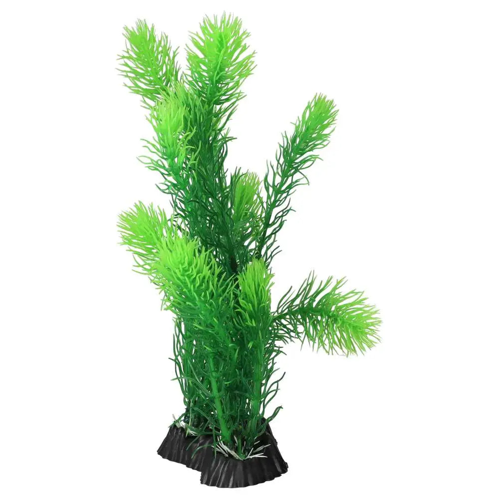 AquaSpectra Myrio Green