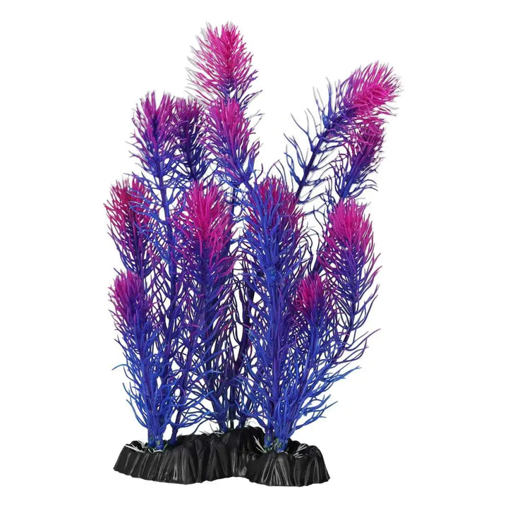 AquaSpectra Myrio Purple