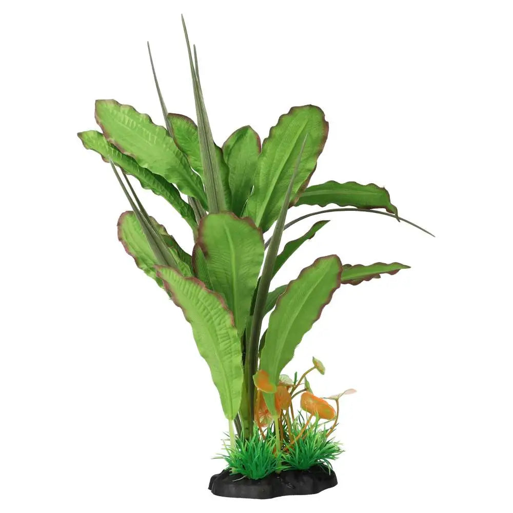 Buy AquaSpectra Narrow Leaf Green online