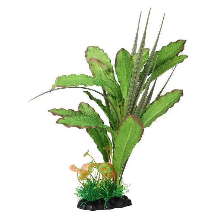 Buy AquaSpectra Narrow Leaf Green online
