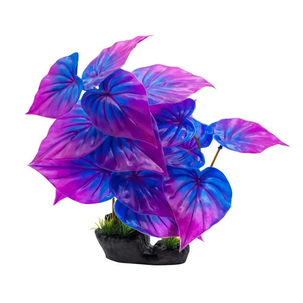 Buy AquaSpectra Phylodendron Plant 40cm online