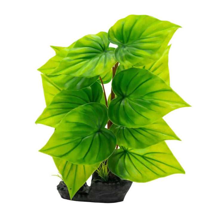 Buy AquaSpectra Phylodendron Plant 40cm (1DA323) Online at £9.79 from Reptile Centre