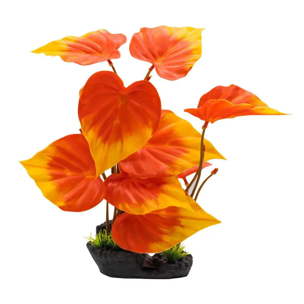 Buy AquaSpectra Phylodendron Plant 40cm (1DA321) Online at £9.79 from Reptile Centre
