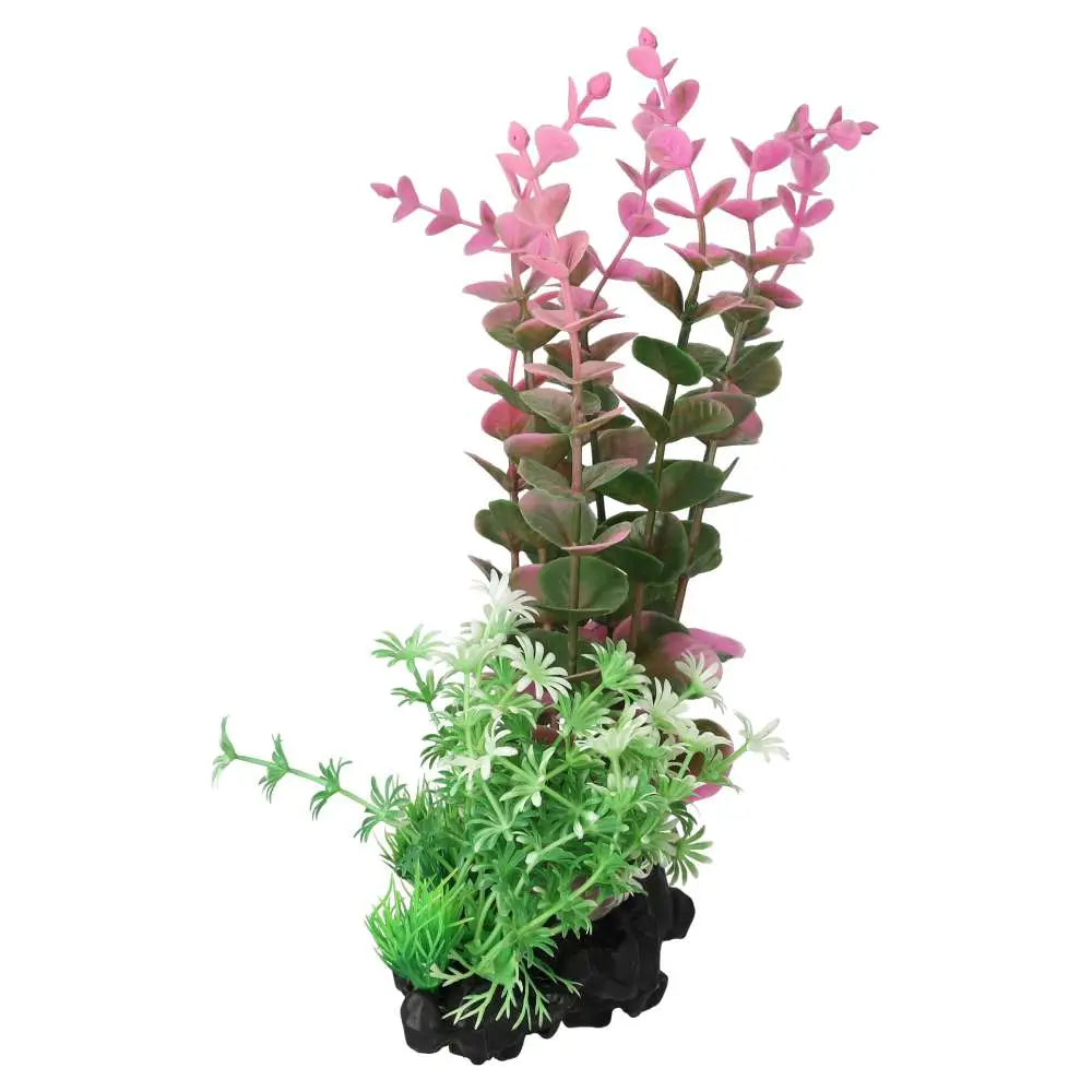 AquaSpectra Pink Indian Toothcup