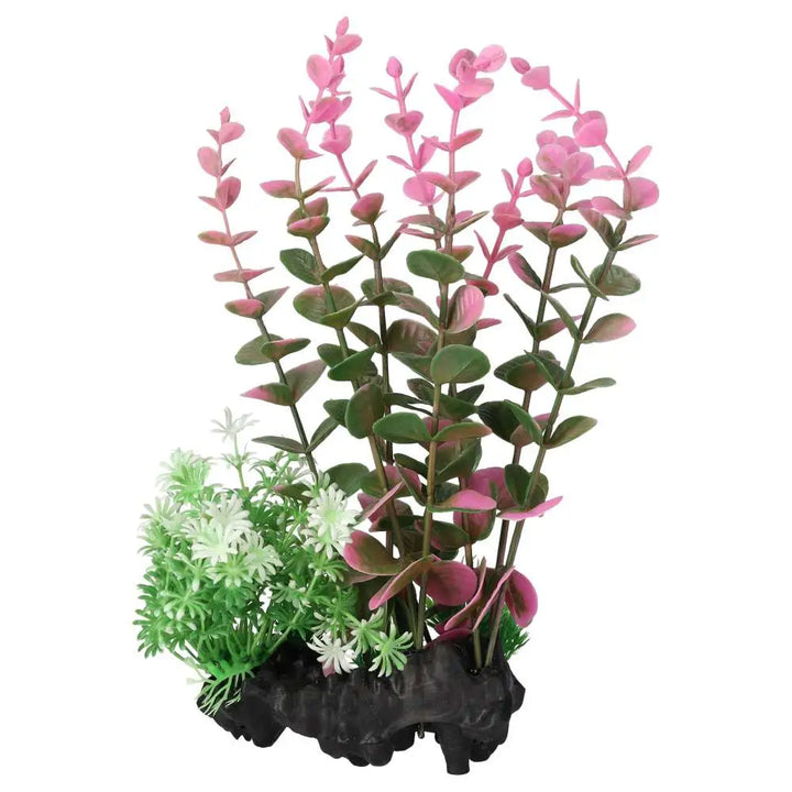 AquaSpectra Pink Indian Toothcup