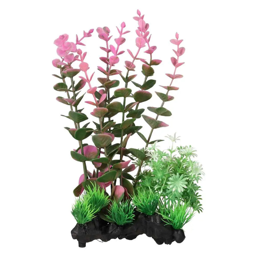 AquaSpectra Pink Indian Toothcup