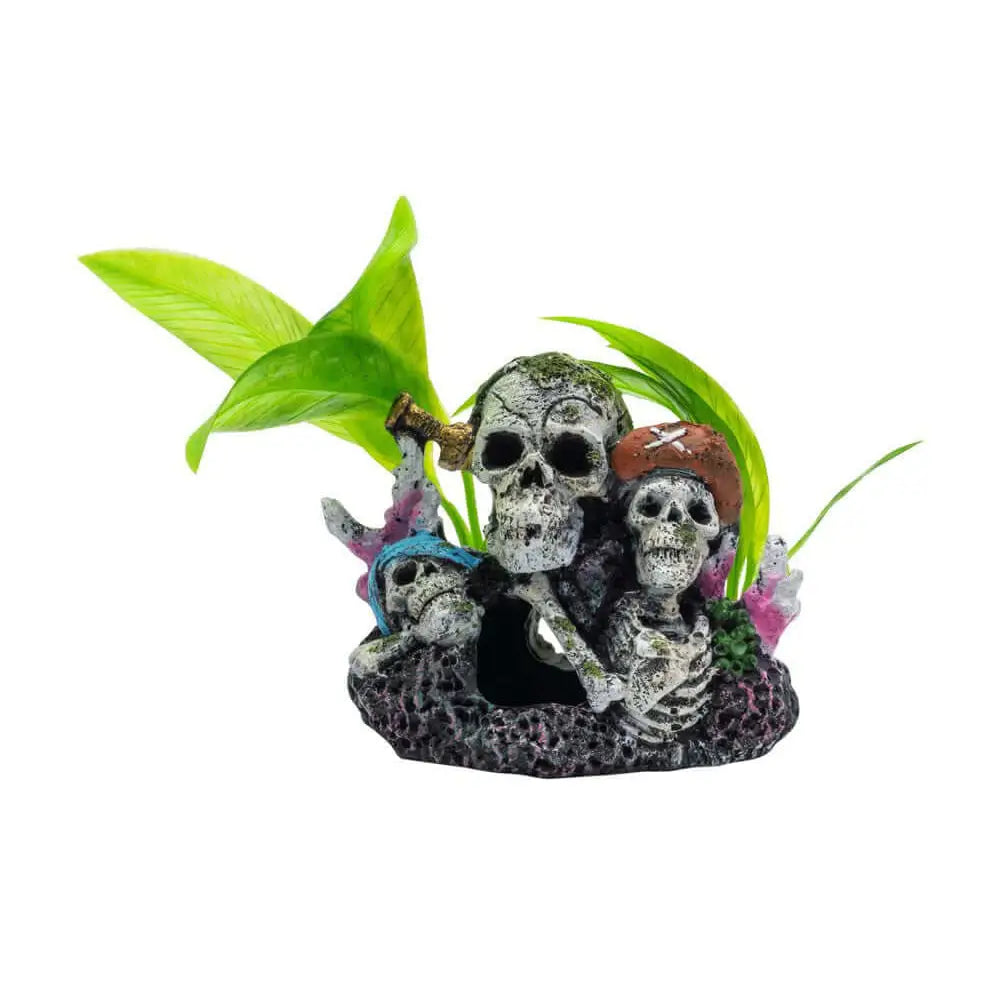 AquaSpectra Pirate Skull Group 11x7.5x11cm