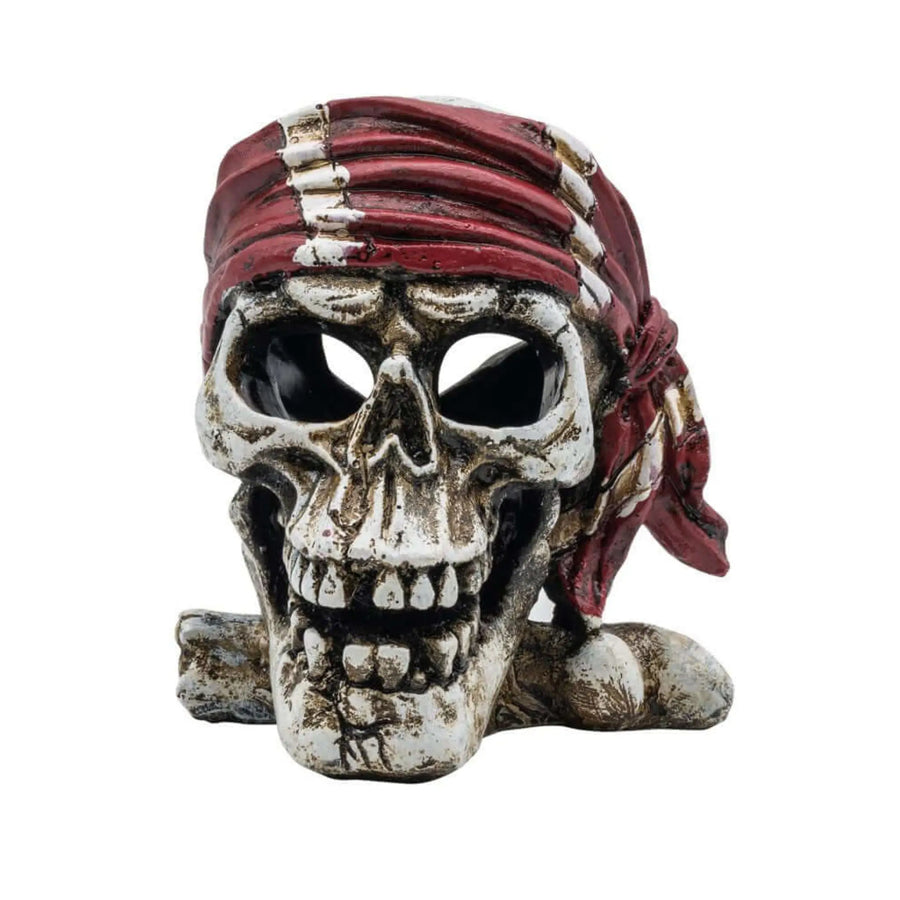 Buy AquaSpectra Pirate Skull Red Bandana 10x10.5x11cm (1DA275) Online at £11.39 from Reptile Centre