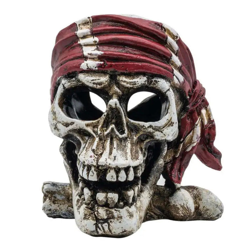 AquaSpectra Pirate Skull Bandana 10x10.5x11cm
