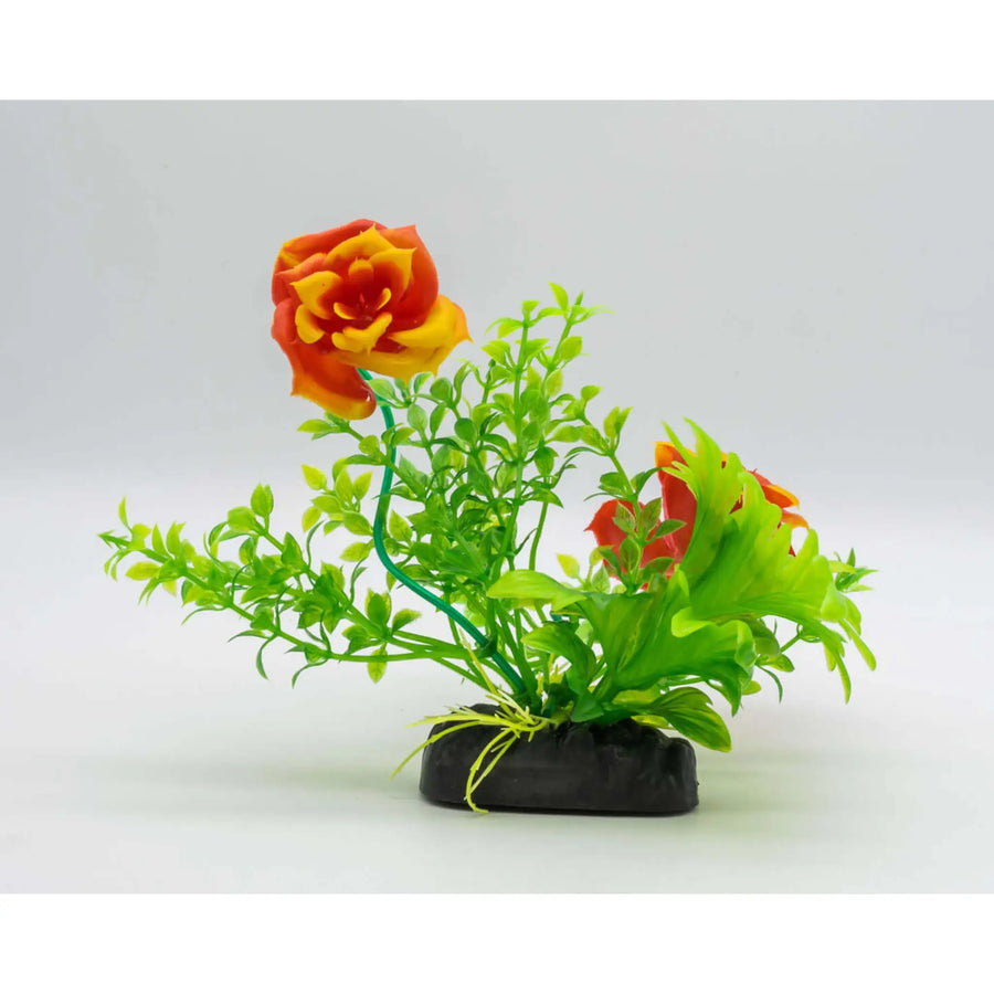 Buy AquaSpectra Rose 15cm (1DA450) Online at £2.89 from Reptile Centre