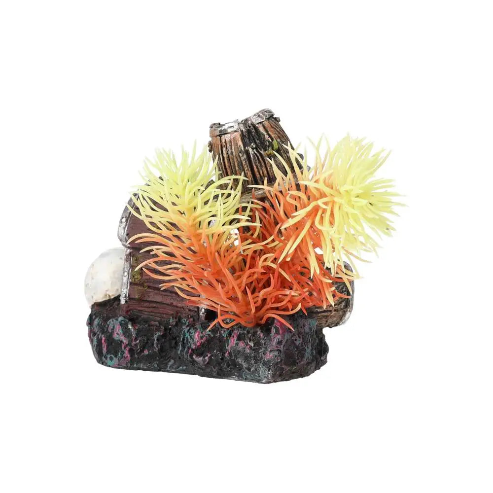 Buy AquaSpectra Sunken Treasure online