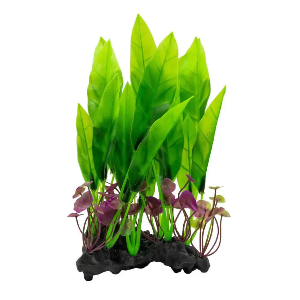 AquaSpectra Sword Leaf on Log 26cm