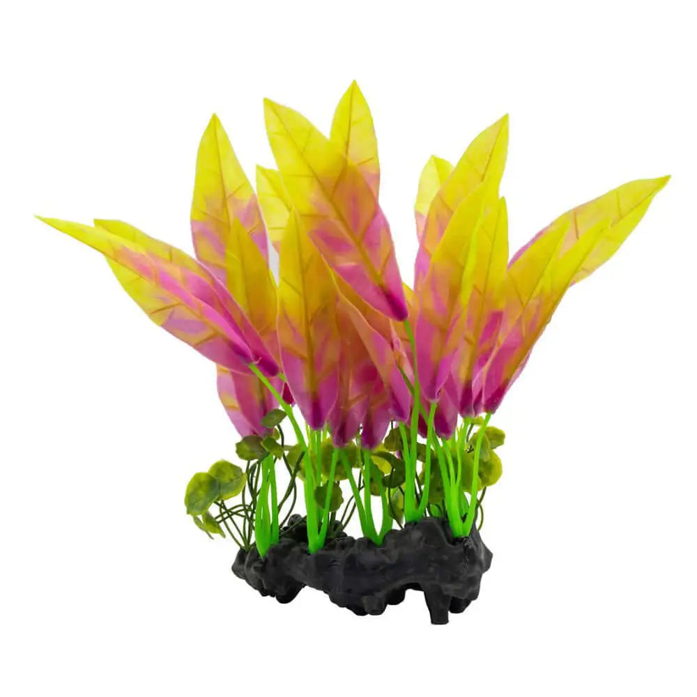 Buy AquaSpectra Sword Leaf on Log 26cm online