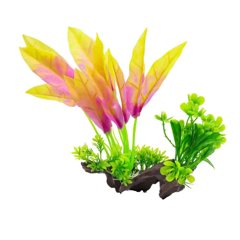 Buy AquaSpectra Sword Leaf on Mulberry Orange 26cm online