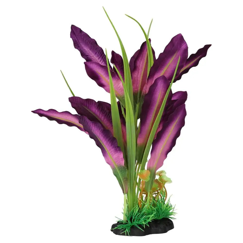 Buy AquaSpectra Sword Leaf Purple online
