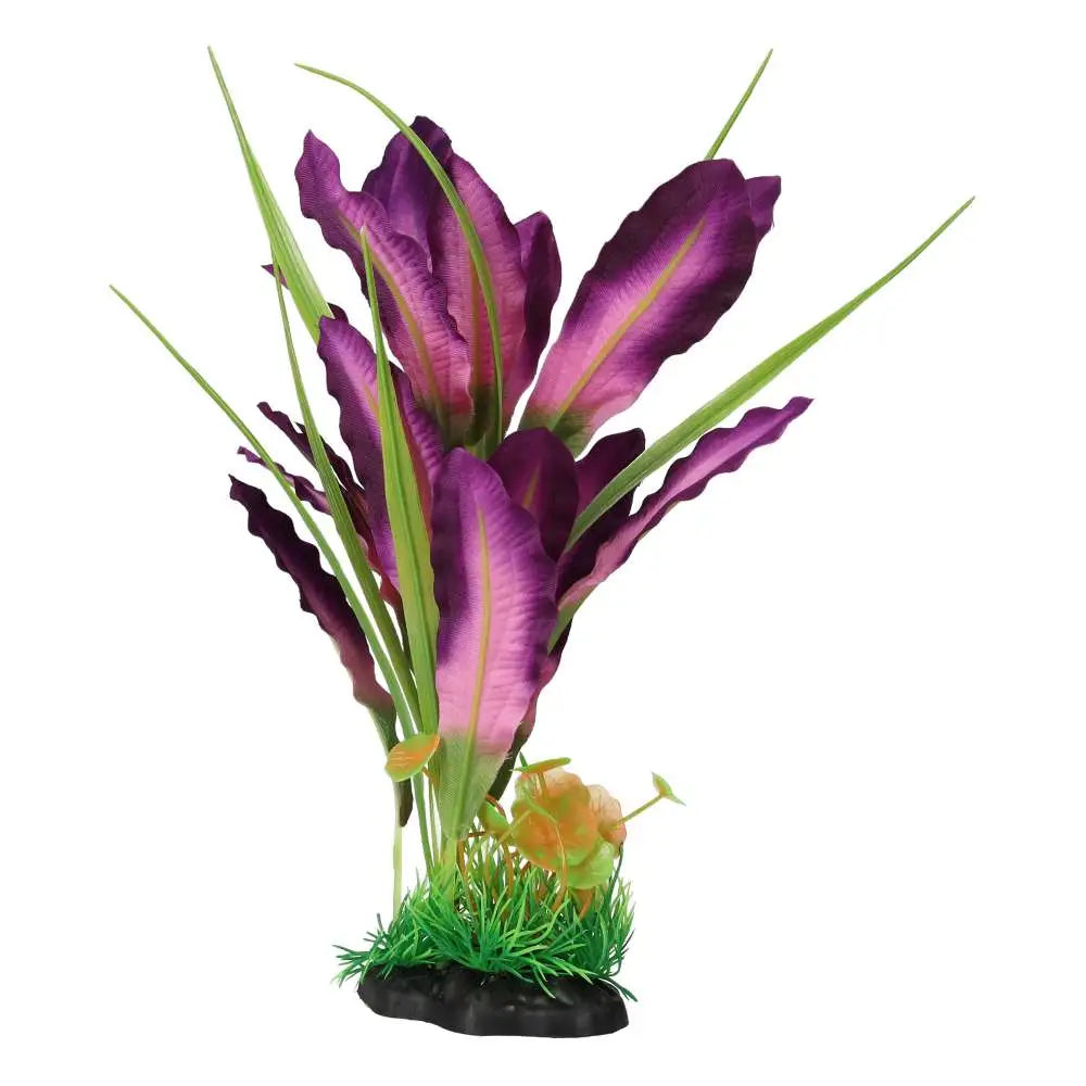 Buy AquaSpectra Sword Leaf Purple online