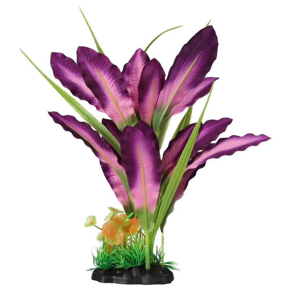 Buy AquaSpectra Sword Leaf Purple online