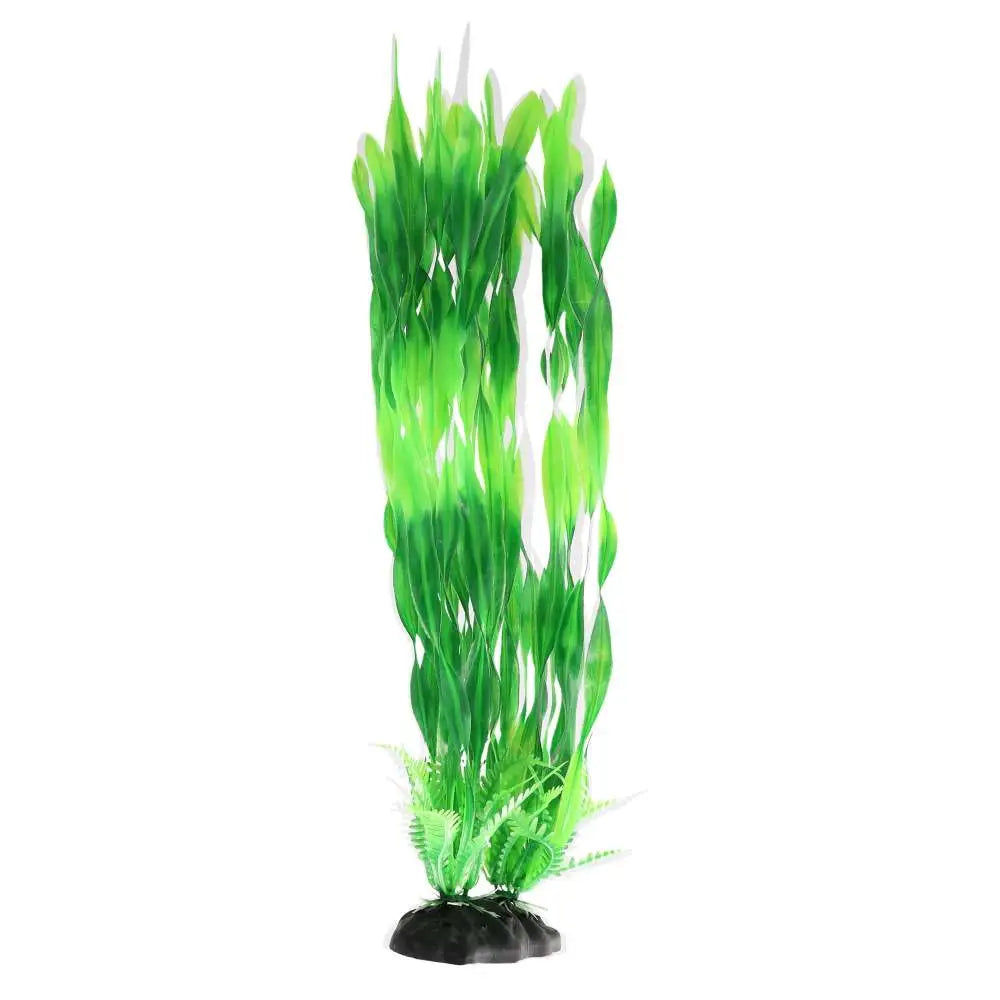 Buy AquaSpectra Twisted Vallis online