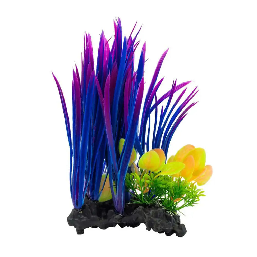 Buy AquaSpectra Valis on Log Blue 25cm online