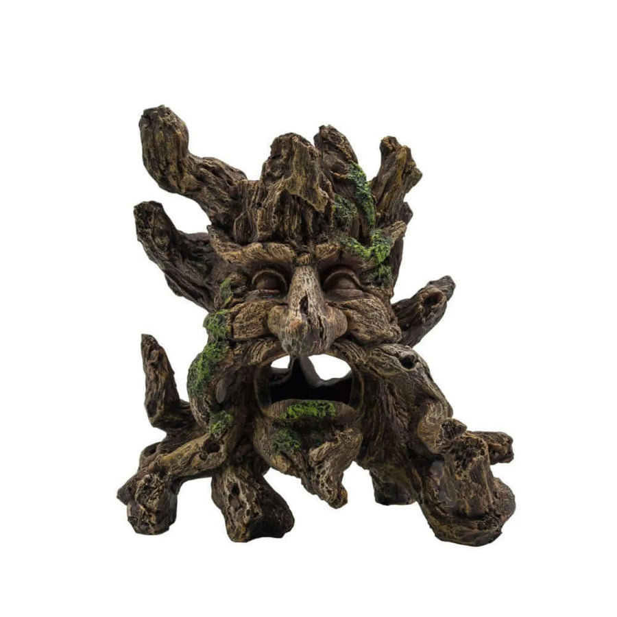 Buy AquaSpectra Woody McTree Face 17.5x11x18cm (1DA301) Online at £15.89 from Reptile Centre