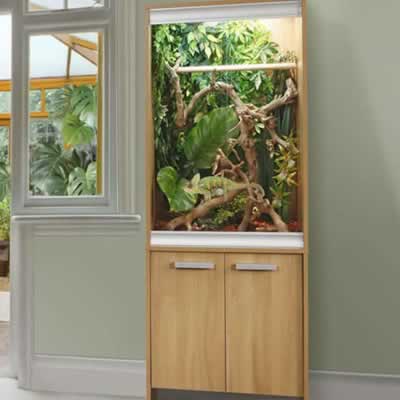 Panther Chameleon Vivariums