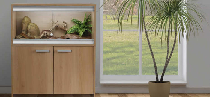 African House Snake Housing