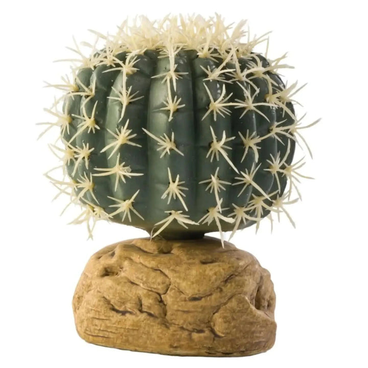 Buy Exo Terra Barrel Cactus (PHD005) Online at £6.39 from Reptile Centre