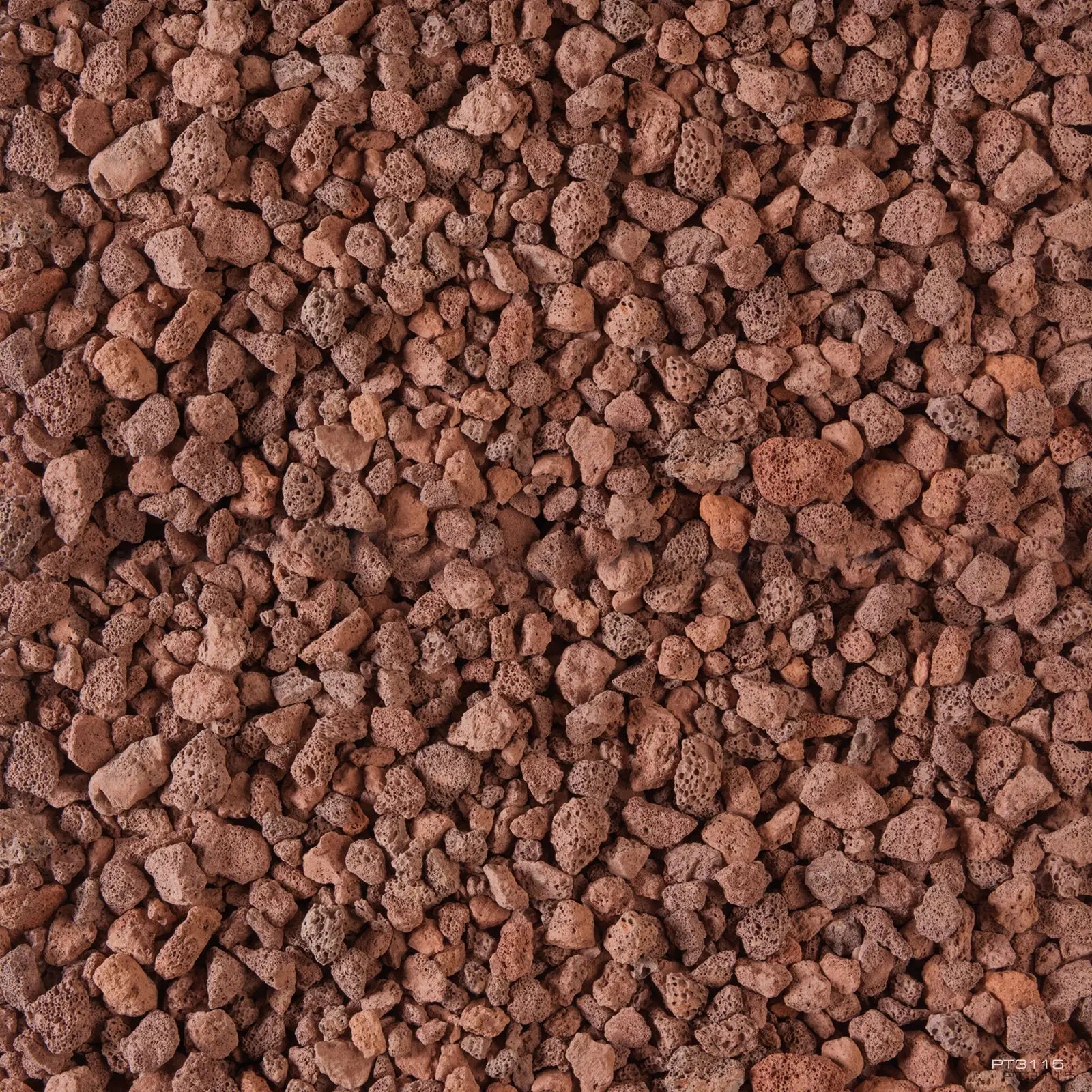 Buy Exo Terra Bio Drain Terrarium Draining Substrate 2kg online