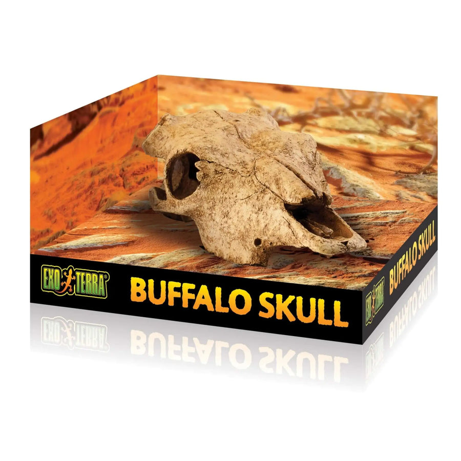 Buy Exo Terra Buffalo Skull (DHS115) Online at £15.99 from Reptile Centre