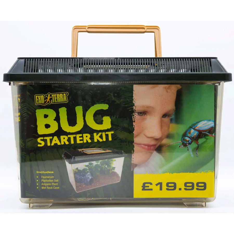Buy Exo Terra Bug Starter Kit (KHG001) Online at £26.99 from Reptile Centre