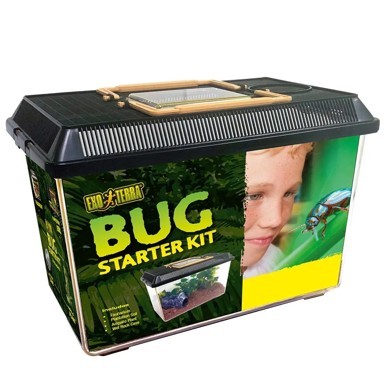 Buy Exo Terra Bug Starter Kit Online at £27.89