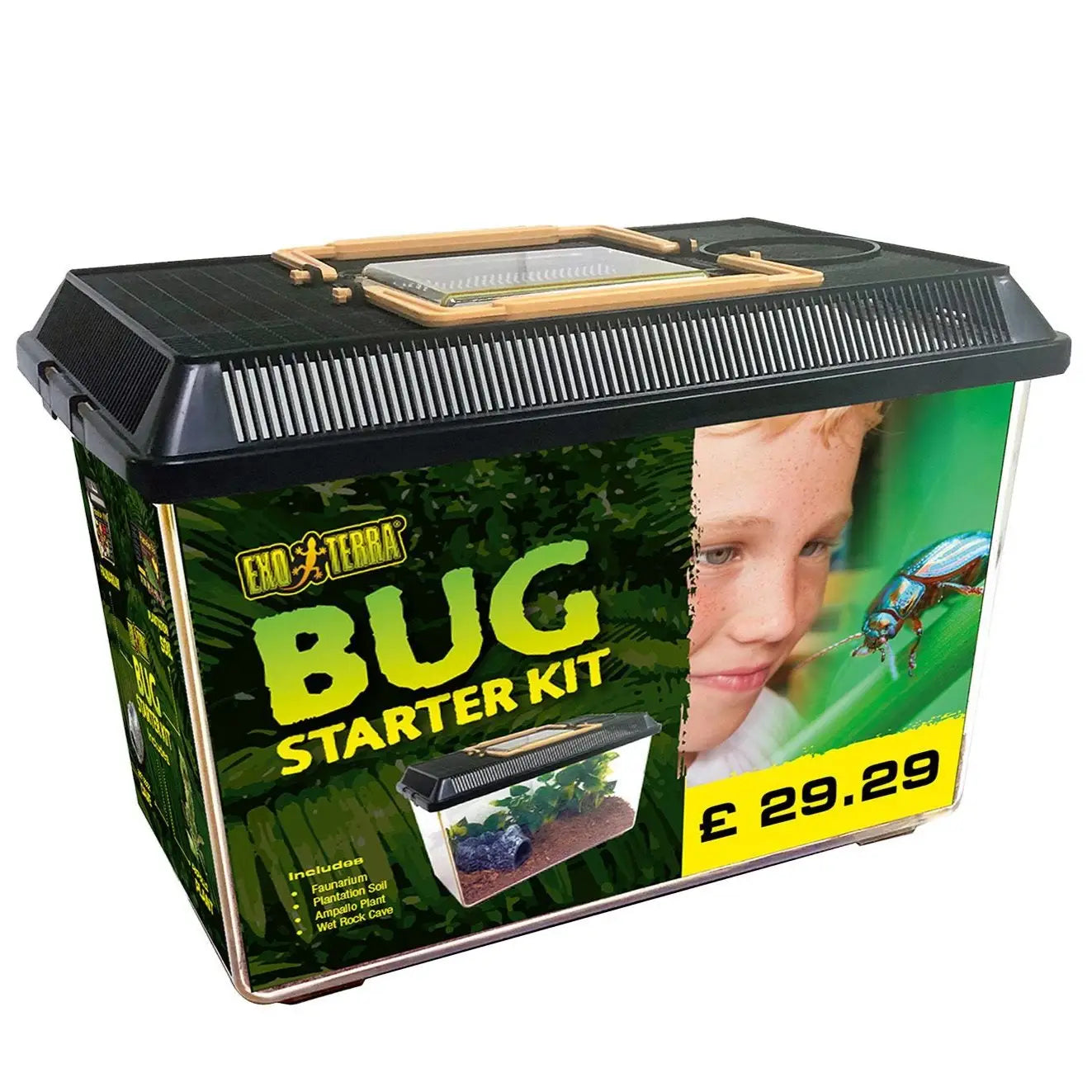 Buy Exo Terra Bug Starter Kit online