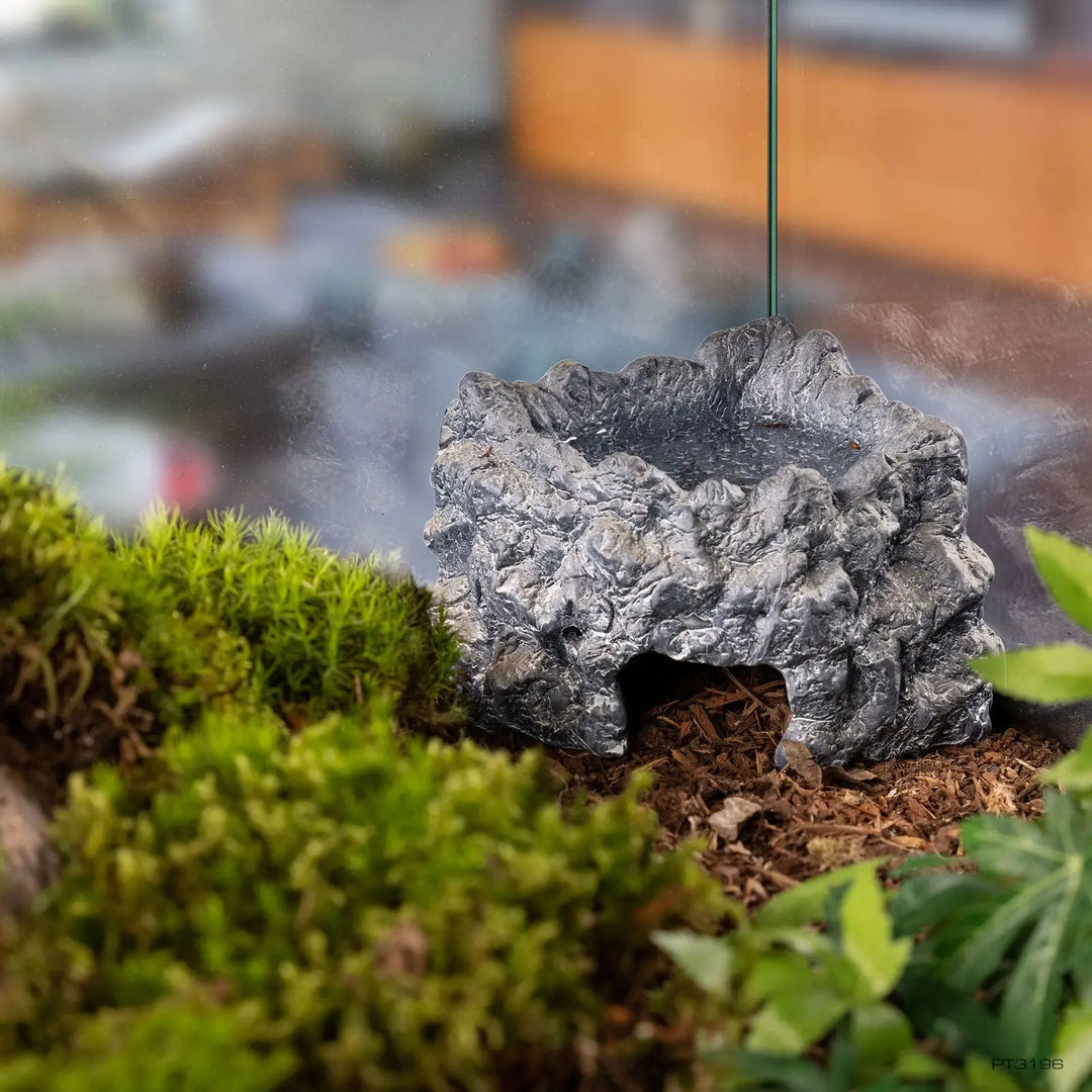 Exo Terra Ceramic Corner Cave Medium in a forest tank
