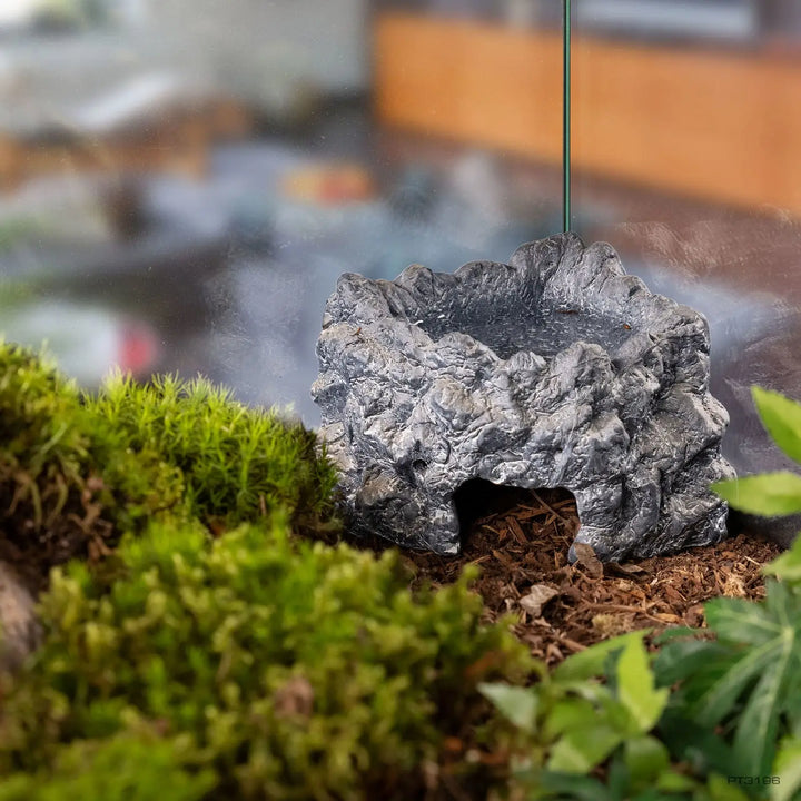 Exo Terra Ceramic Corner Cave Medium in a forest tank