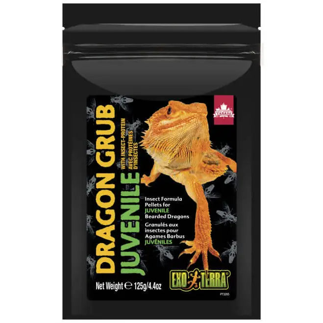 Buy Exo Terra Dragon Grub Juvenile 125g online